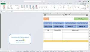 تصميم نماذج اكسل مخصصة